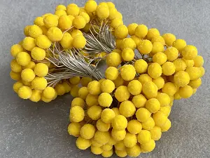 Сахарные ягодки калины