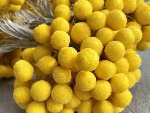 Сахарные ягодки калины