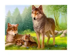 Картина 40*60см укр