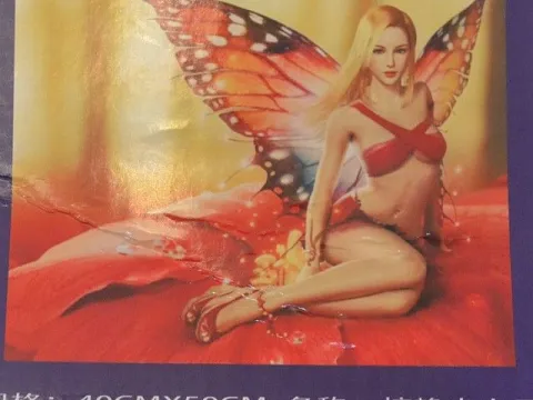 Картина укр