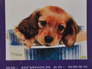 Картина укр