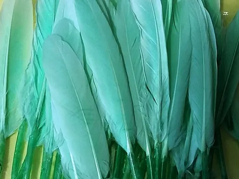 Перо на ніжці