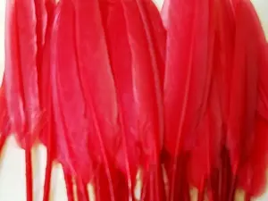 Перо на ніжці