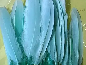 Перо на ніжці