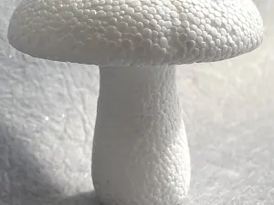 Заготівля з пінопласту-гриб
