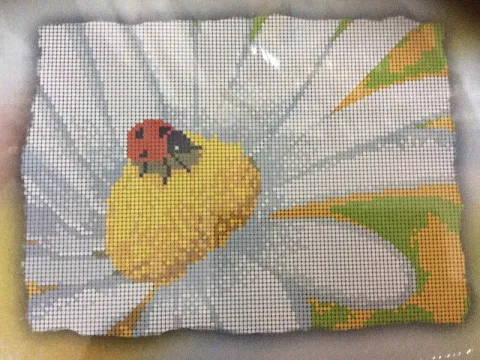 Схема 22*28см укр