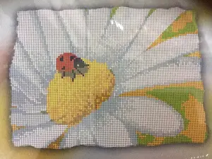 Схема 22*28см