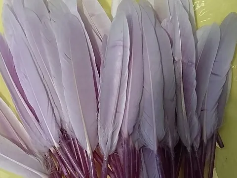 Перо на ніжці