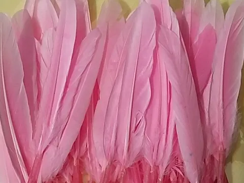 Перо на ножке