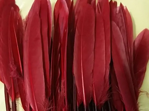 Перо на ніжці