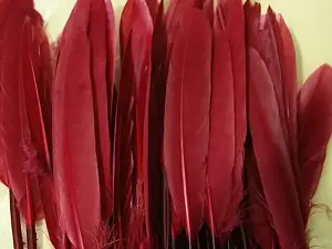 Перо на ніжці