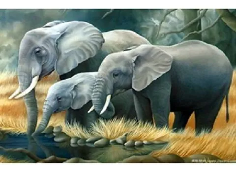 Схема 40*50см укр