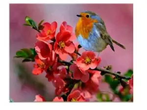 Схема 50*30см укр