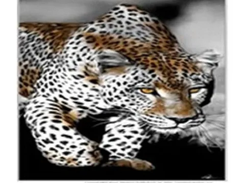 Схема 40*70см укр