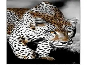 Схема 40*70см укр