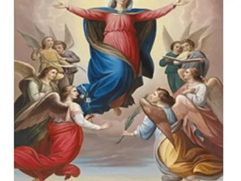 Схема 45*55см