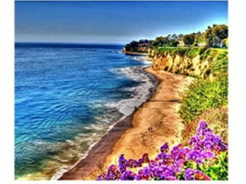 Схема 30*40см