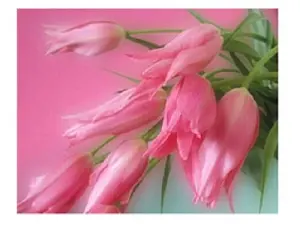 Схема 20*30см укр