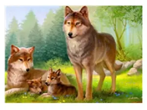 Схема 40*60см укр