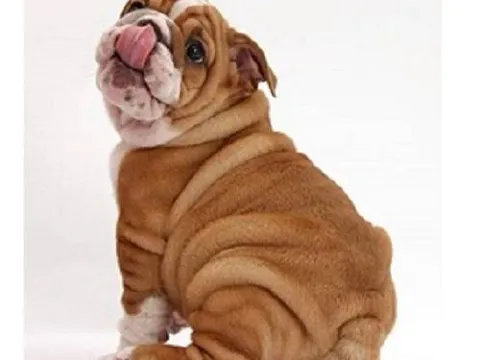 Схема 40*30см укр