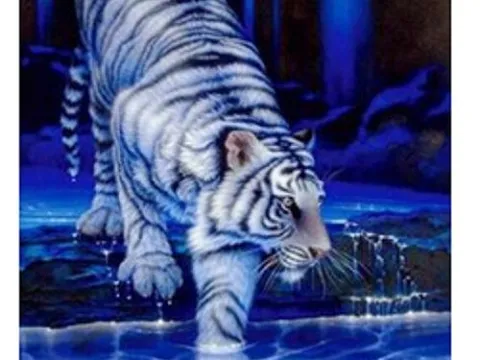 Схема 40*60см укр