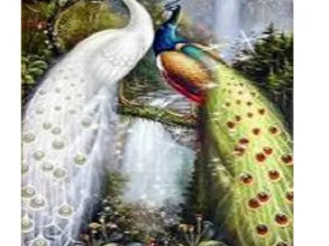 Схема 60*85см укр