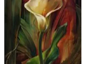 Схема 30*60см