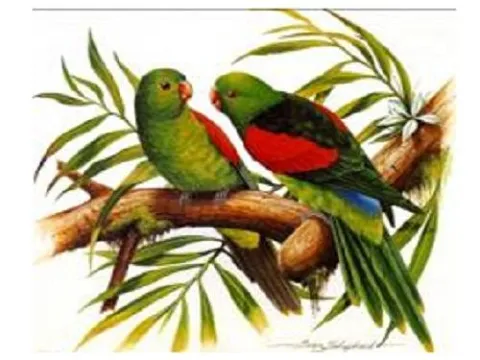 Схема 50*50см укр