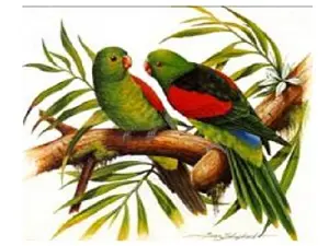 Схема 50*50см укр