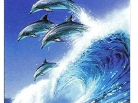 Схема 40*50см укр