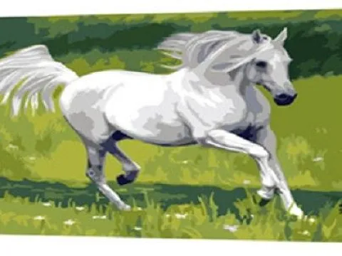 Схема 40*50см укр