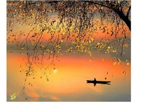 Схема 40*50см