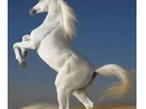 Схема 40*50см укр