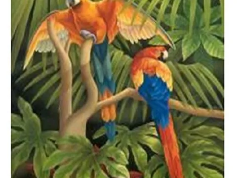 Схема 40*50см