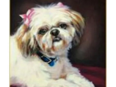 Схема 40*50см укр