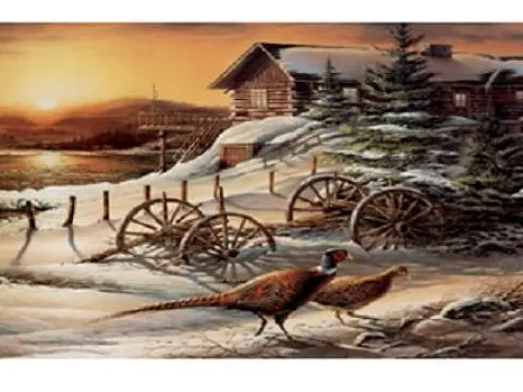 Схема 40*50см