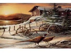 Схема 40*50см укр