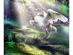 Схема 40*50см укр