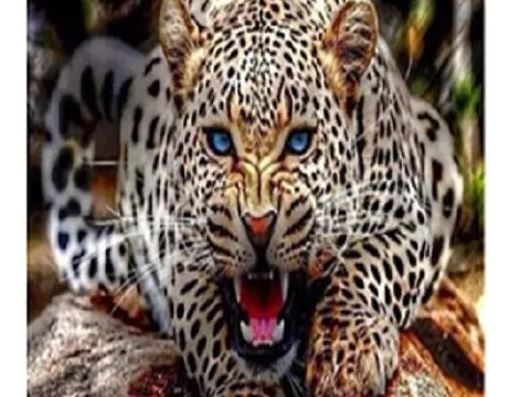 Схема 40*50см укр