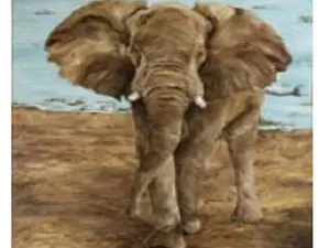 Схема 50*50см укр