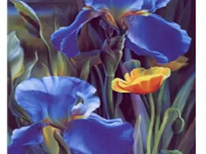 Схема 40*80см укр