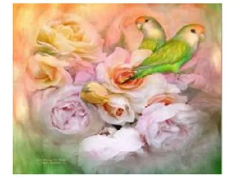 Схема 50*50см