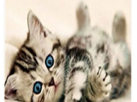 Схема 30*50см укр