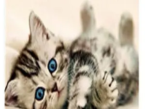 Схема 30*50см укр