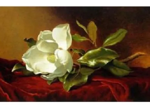 Схема 40*60 укр