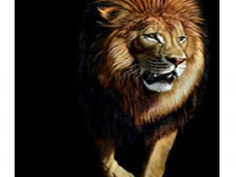 Схема 40*60см