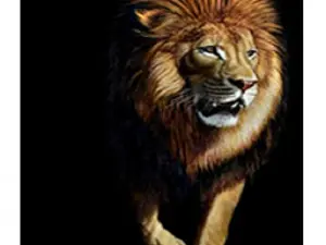 Схема 40*60см