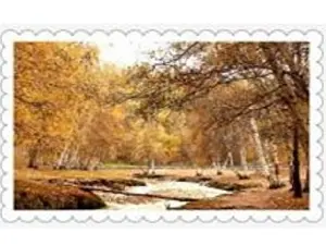 Схема 40*60см