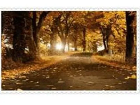 Схема 45*60см укр