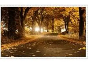 Схема 45*60см укр